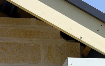 soffit repair Tannington Place